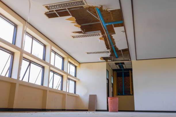 Best Water damage cleanup near me  in Eupora, MS