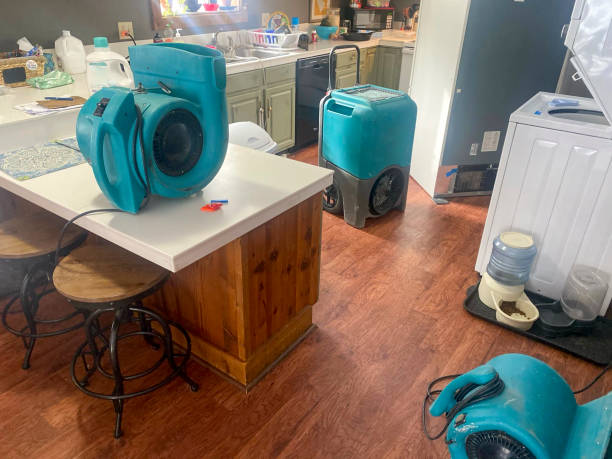 Best Emergency water damage restoration  in Eupora, MS