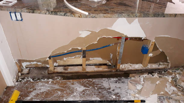 Best Mold removal after water damage  in Eupora, MS