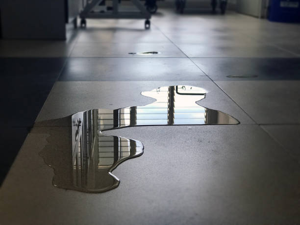 Best Commercial water damage restoration  in Eupora, MS