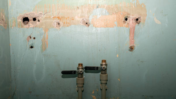 Best Ceiling water damage repair  in Eupora, MS