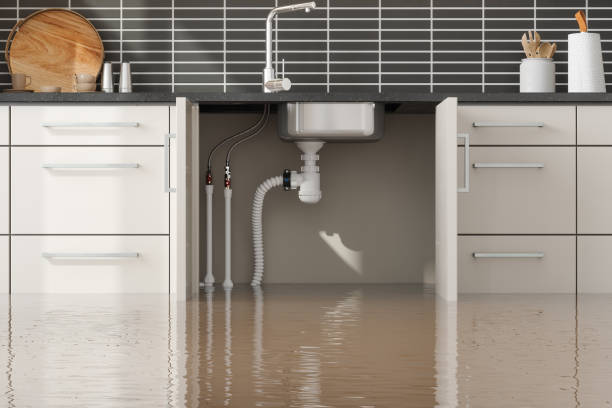 Best Sewage cleanup and water damage restoration  in Eupora, MS