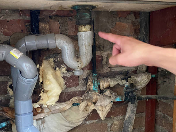 Best Mold removal after water damage  in Eupora, MS