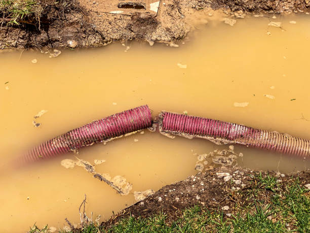 Best Water damage cleanup near me  in Eupora, MS