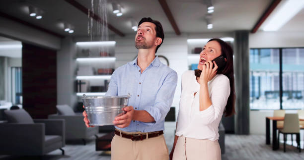 Best Fire Damage Restoration  in Eupora, MS